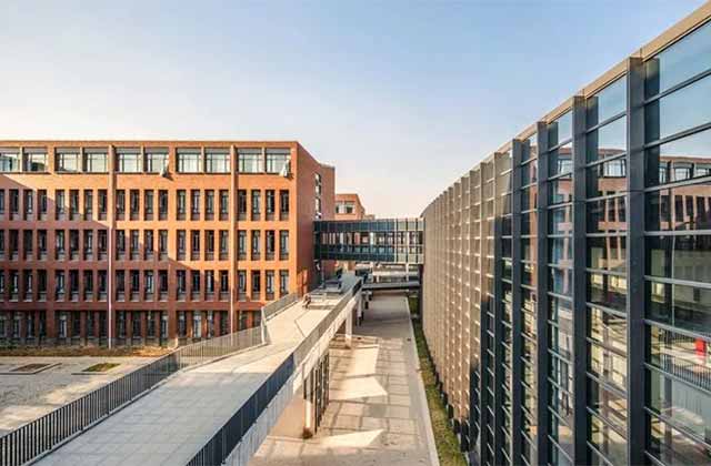 ?一句話總結(jié)雙一流大學和專業(yè)特色